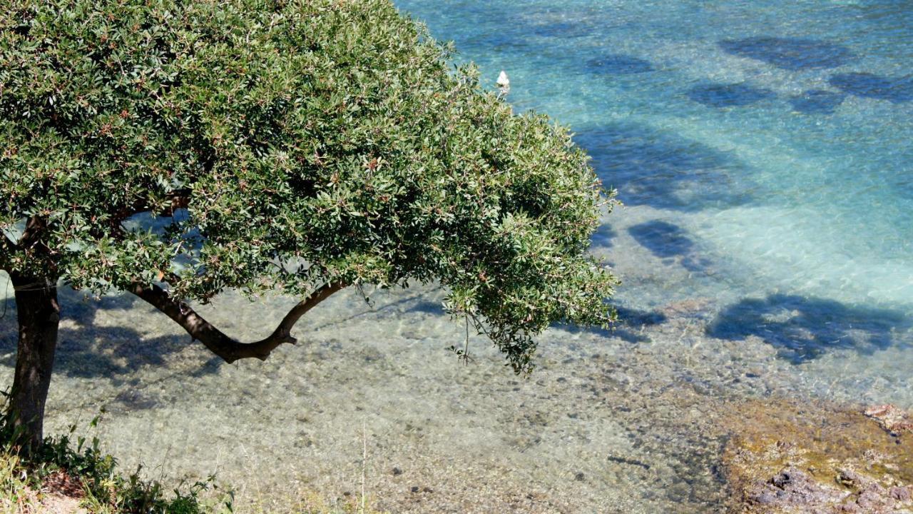 Lozari Beach Διαμέρισμα Belgodère Εξωτερικό φωτογραφία