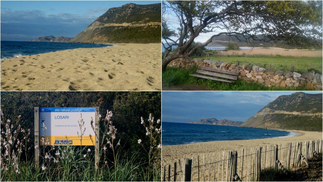 Lozari Beach Διαμέρισμα Belgodère Εξωτερικό φωτογραφία